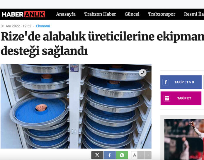 fet alabalik basında fet alabalik basında
